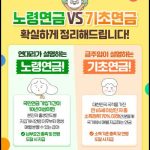 기초연금 국민연금 중복 수령 이해를 위한 노령연금과 기초연금 비교